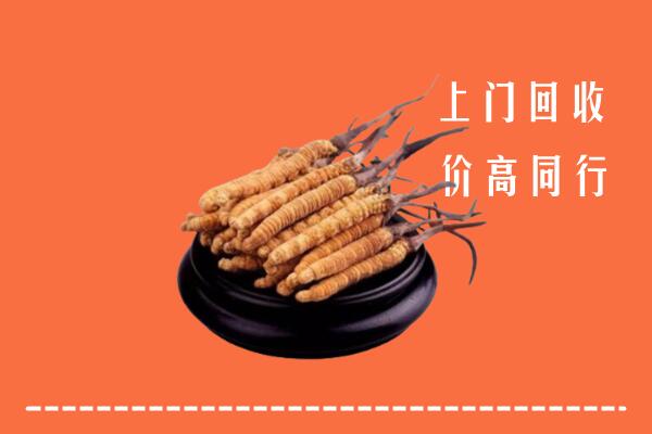 高价求购：重庆万州回收散虫草