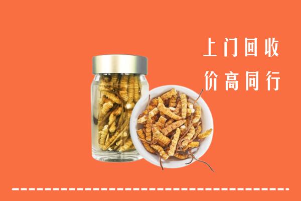 重庆万州回收冬虫夏草